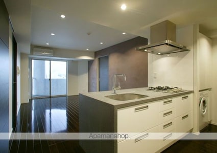 カスタリア麻布十番[1LDK/42.84m2]のその他内装4