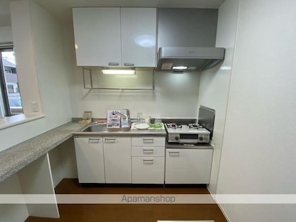 桜サライ[1LDK/47.49m2]のキッチン