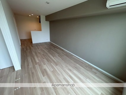 Ｄｉａｓ太子橋[1SLDK/51.19m2]の内装5