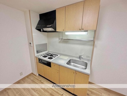 ＮｅｏＭｉｌｌｅｎｎｉｕｍ[2LDK/47.97m2]のキッチン