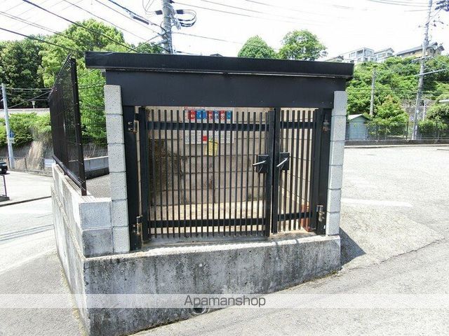 カモマイルのその他写真