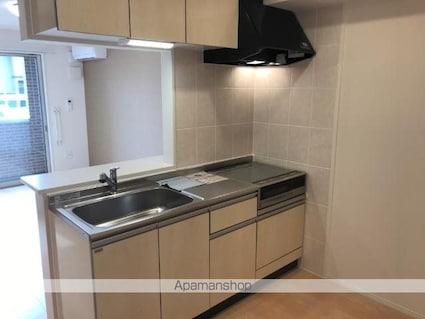 ルミエール・エス[1LDK/44.95m2]のキッチン