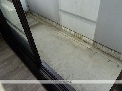 アルファネクスト大和町[1R/22.8m2]のバルコニー