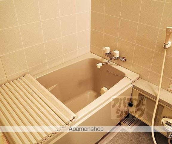 ルイシャトレ二条城の内装写真