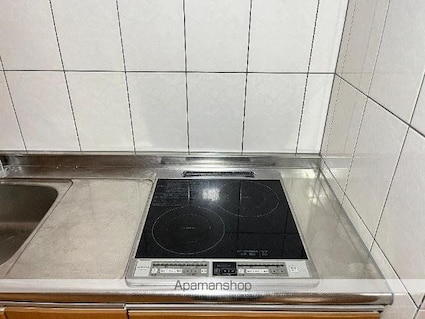 ルミナス莇生野[1LDK/39.67m2]のキッチン2