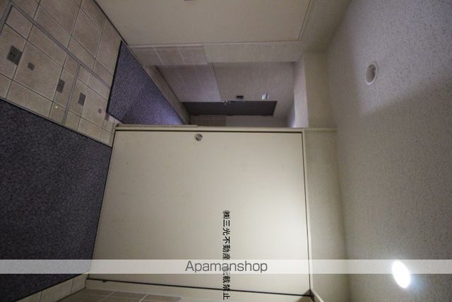 ルピナスのその他写真