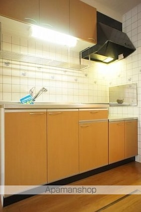 カーサ　アンソレイユＳ[2DK/45.82m2]のキッチン