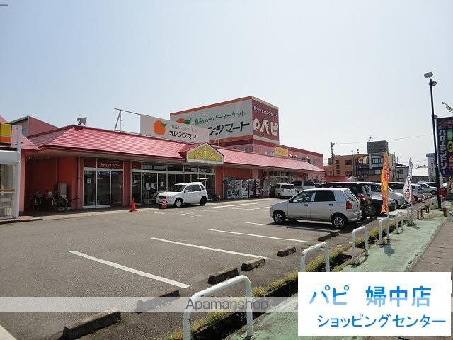 ドゥウェル婦中の周辺写真