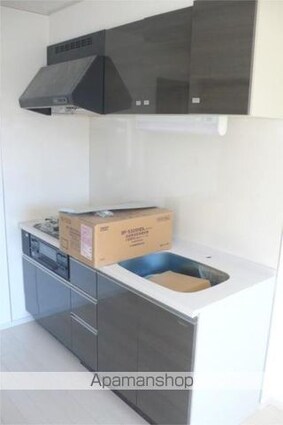 ヴィラージュ志伊ＩＩＩ[1LDK/44.92m2]のキッチン