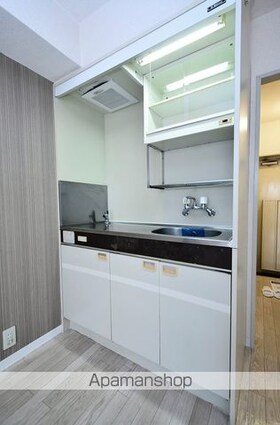 メゾン・ド・ロアイヤル[1R/13.78m2]のキッチン