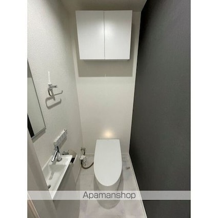 ライオンズマンション日本橋[2DK/47.79m2]のその他内装4