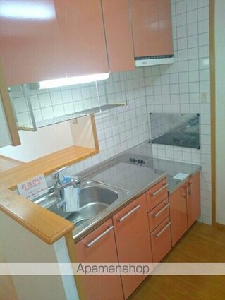 シャン・ミリューⅢ[1R/35.98m2]のキッチン