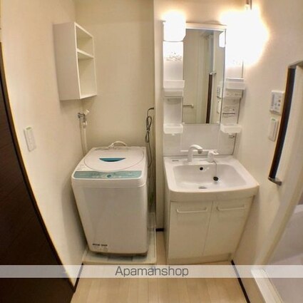 レオネクスト阿星[1K/30.03m2]の洗面所