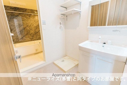 セイバリーＦ[1LDK/50.01m2]の洗面所