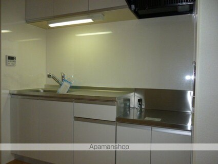 アメニティ　ハウス[1SDK/46.45m2]のキッチン