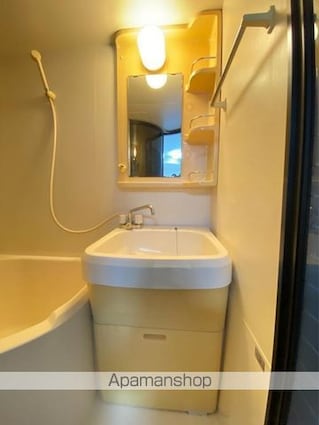 ラ・パルフェ・ド・コゼット[1R/21m2]の洗面所