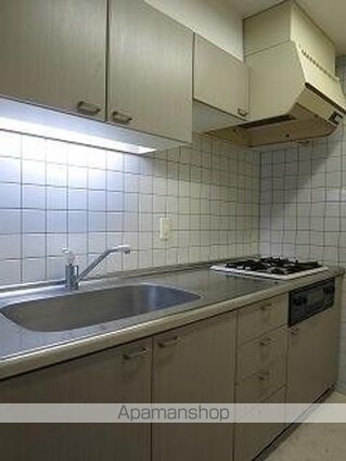 ラフィネ大崎[2LDK/54.16m2]のキッチン