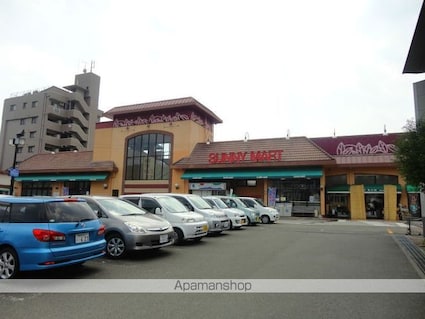 シャーメゾン・みさと[2LDK/53.28m2]の周辺6