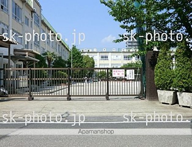 ミランダLUANAの周辺写真