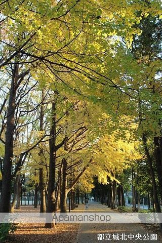 藤和氷川台コープの周辺写真