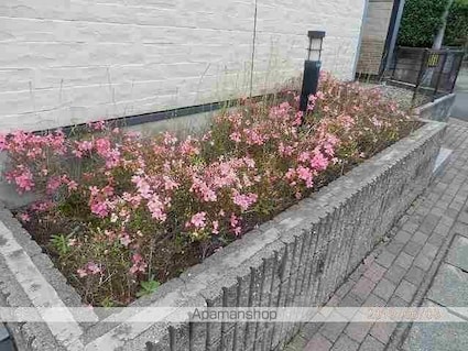 レオパレスエーデルヴァイス[1K/23.18m2]のその他部屋・スペース2