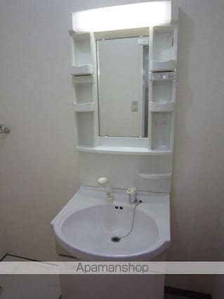 シャローム[1K/30.81m2]の洗面所