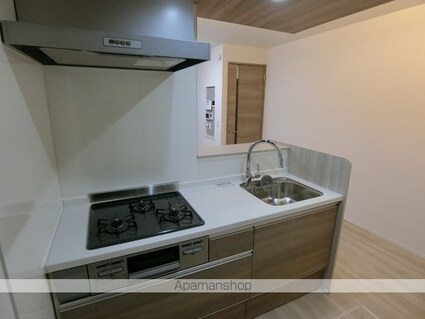 セレスティア柴又ＩＩＩ[2LDK/47.9m2]のキッチン