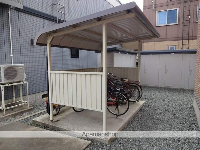 エバーグリーンのその他写真