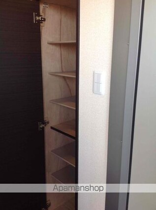 レオネクスト菜の花[1K/30.03m2]の収納