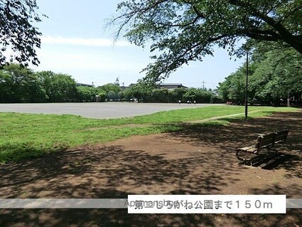 グリシーヌ２[1DK/31.2m2]の周辺5