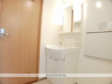 ジャパン・ビレッジウェスト[2LDK/59.24m2]の洗面所