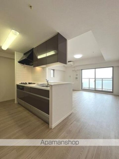 エスティメゾン錦糸町Ⅱ[1LDK/54.89m2]のリビング・居間1