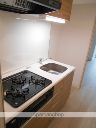 プレミアータ　ルーチェ[1K/27.03m2]のキッチン