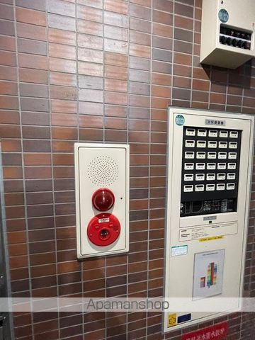 ポートレイトのその他写真
