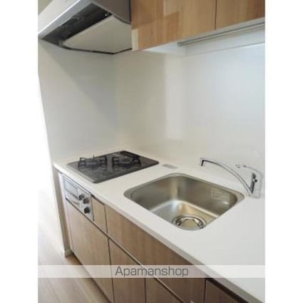 パークアクシス錦糸町ヴェール[1R/25.95m2]のキッチン