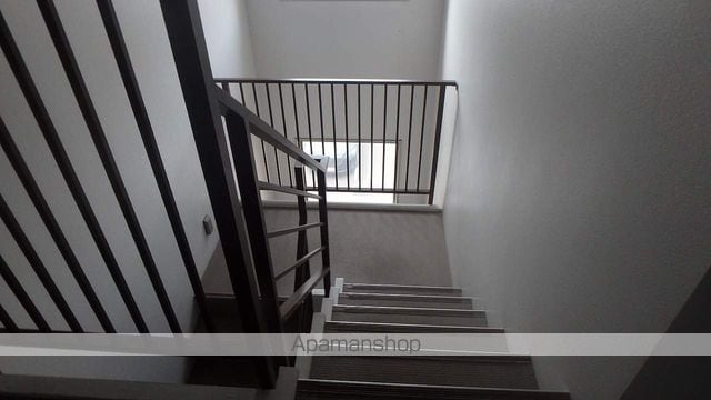 グルービーのその他写真