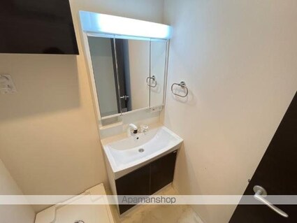 チェリーヒル[2LDK/52.91m2]の洗面所