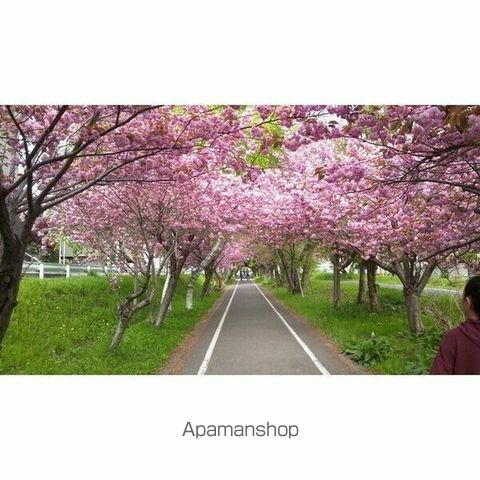 第2くきつマンションの周辺写真