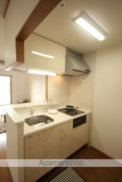 サムティレジデンス平和大通（旧ウイング宝町ファースト）[1R/33.42m2]のキッチン