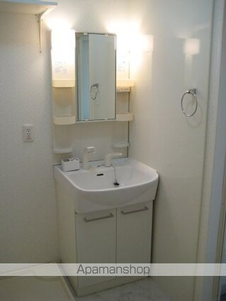 レジデンス平田[3LDK/77.74m2]の洗面所