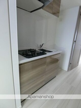 ＳーＲＥＳＩＤＥＮＣＥ両国ｐａｒｋｓｉｄｅ[1K/25.18m2]のキッチン