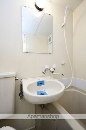 メゾン・ド・ロアイヤル[1R/13.78m2]の洗面所