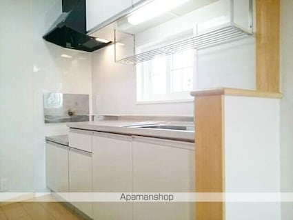 愛知県一宮市若竹４丁目[2LDK/62.45m2]のキッチン