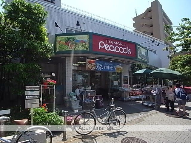 菱和パレス世田谷桜新町の周辺写真