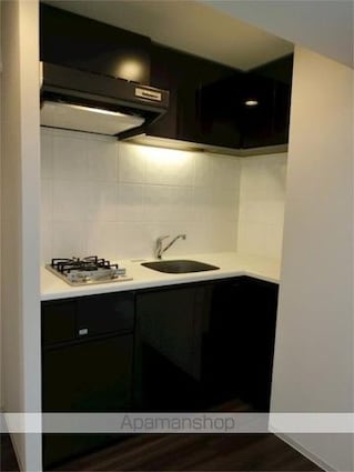 フェニックス飯田橋[1R/25.44m2]のキッチン