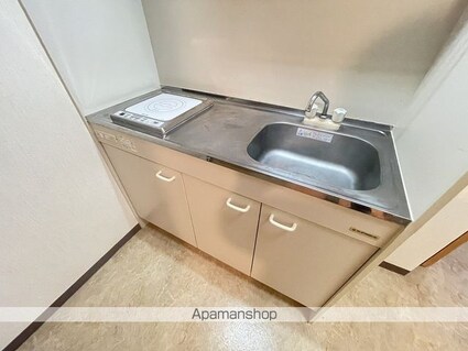 カーサデクエルノⅡ[1K/29.72m2]のキッチン