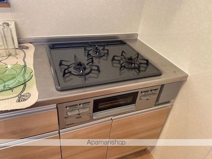 レジアス[3LDK/67.23m2]のトイレ