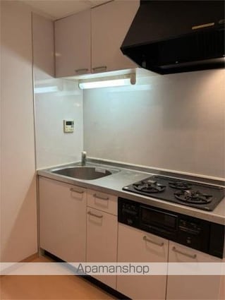 ナチュラルハウス[1K/28.36m2]のキッチン