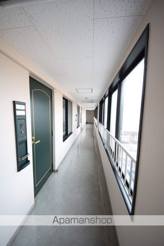 カーム平和のその他写真