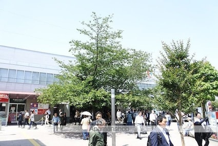 東京都調布市若葉町１丁目[1K/25.37m2]の周辺5